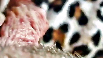 Close-up pink pussy G-spot porn movie
