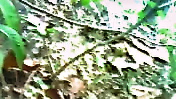 Eiva Dinajpur Salbagan outdoor POV hardcore sex