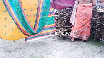 Desi bhabhi pink saree outdoors porn movie